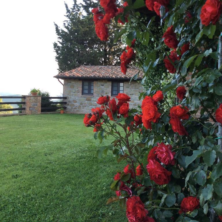 Agriturismo La Bicocca - Apt. "Il Leccio" Castel Rigone Room photo